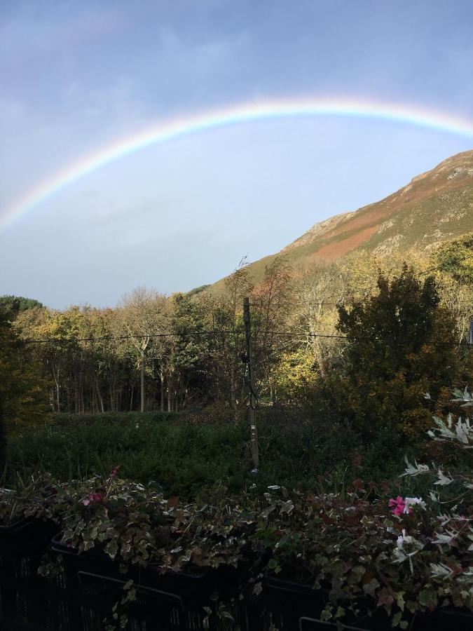 Bed and Breakfast Woodbriar Penmaen-mawr Exteriér fotografie