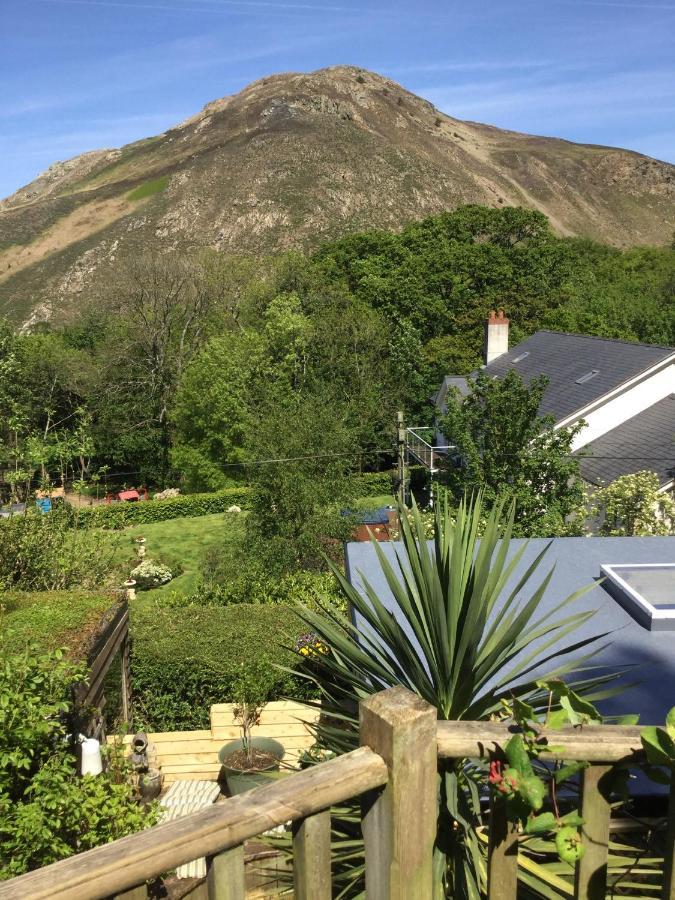 Bed and Breakfast Woodbriar Penmaen-mawr Exteriér fotografie